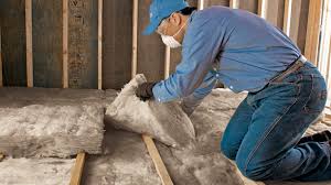 Best Basement Insulation  in Palestine, TX