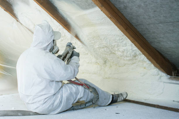 Best Commercial Insulation Services  in Palestine, TX