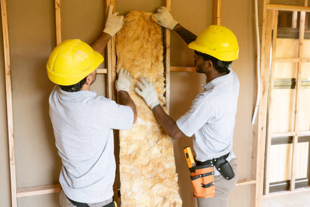 Best Crawl Space Insulation  in Palestine, TX