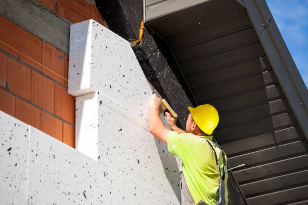 Best Attic Insulation Installation  in Palestine, TX